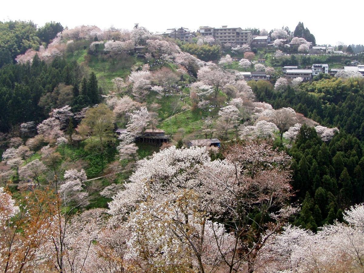 Hotel Hounkan Yoshino  Exterior foto